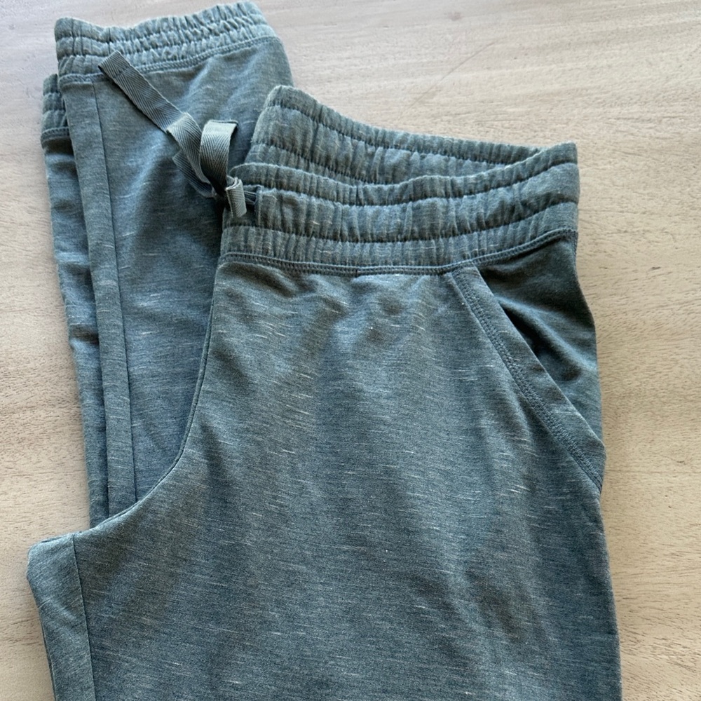 Hanes Blue / Green Comfort Jogger Pants - Picture 2 of 8